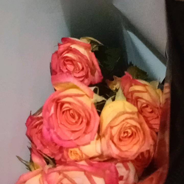VIP的许愿花