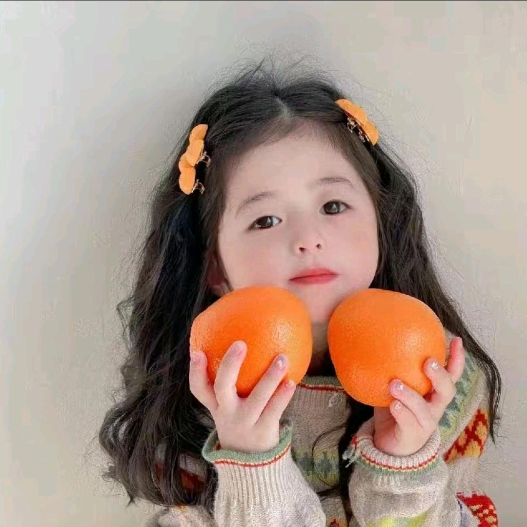 镜头里的诗和远方