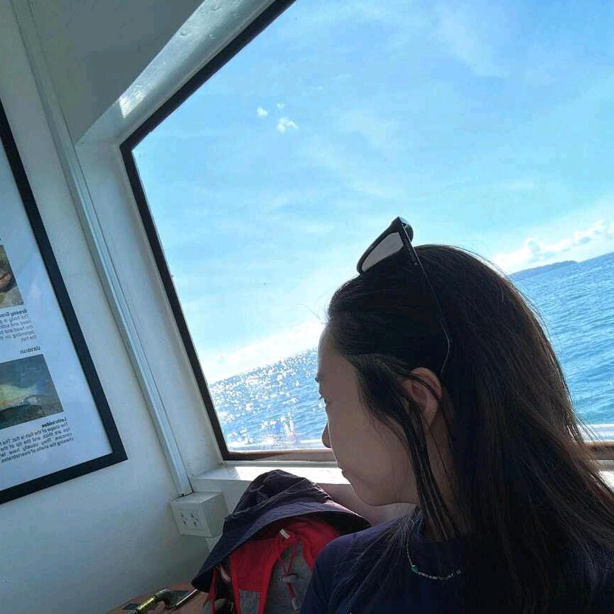 西安小谢网络