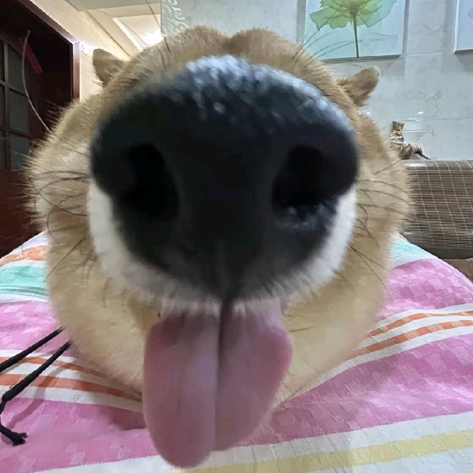 江