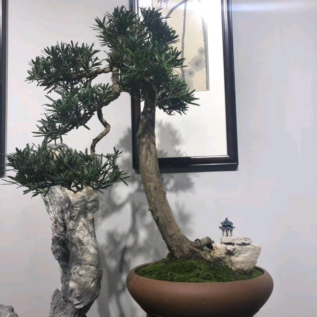 呷吃呷串火锅串串