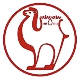 四通超超骆驼蓄电瓶