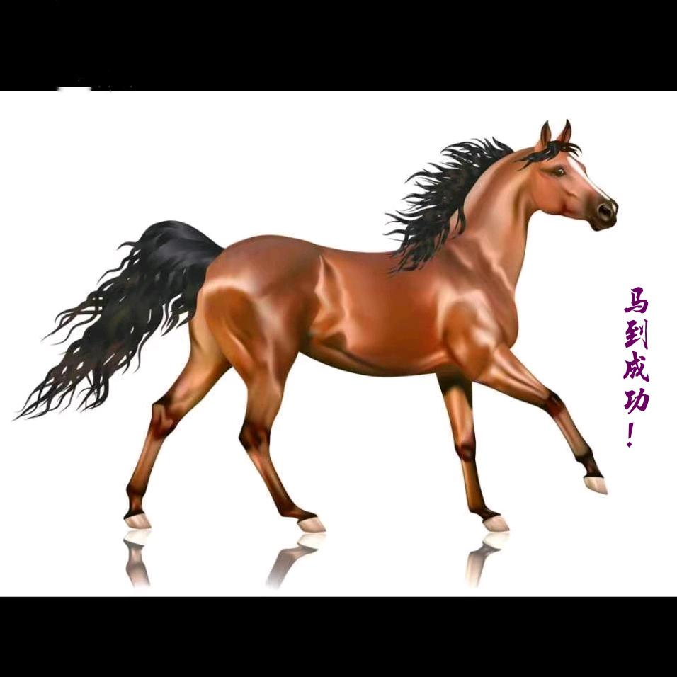 龍🐉马🐴精神