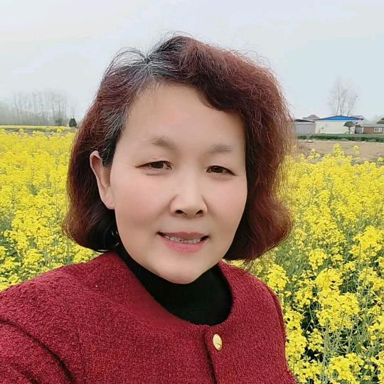 新安镇红娘桂琴