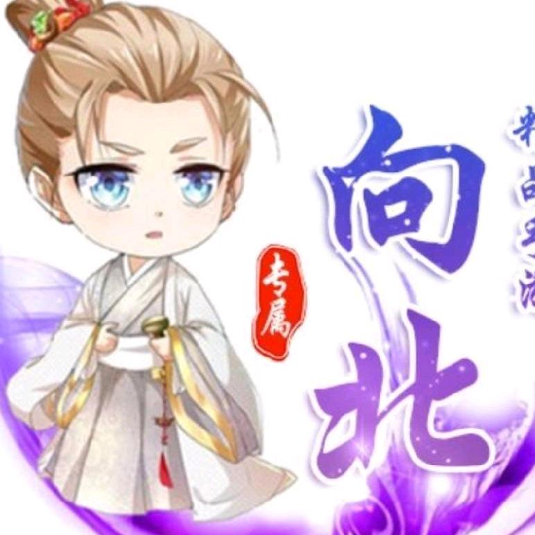 爱玩游戏的向北