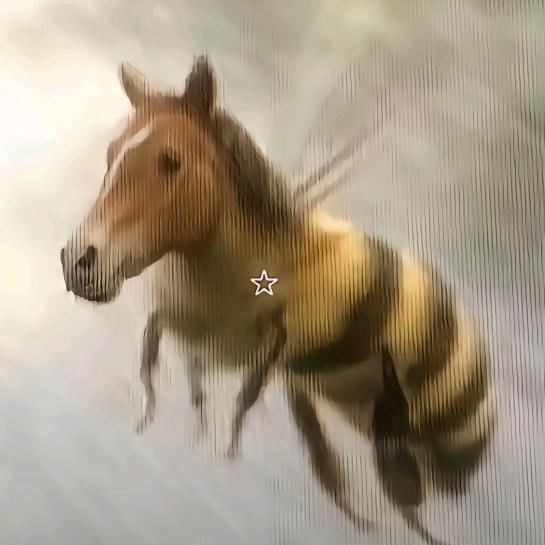 爱吃麻辣鱼☺️