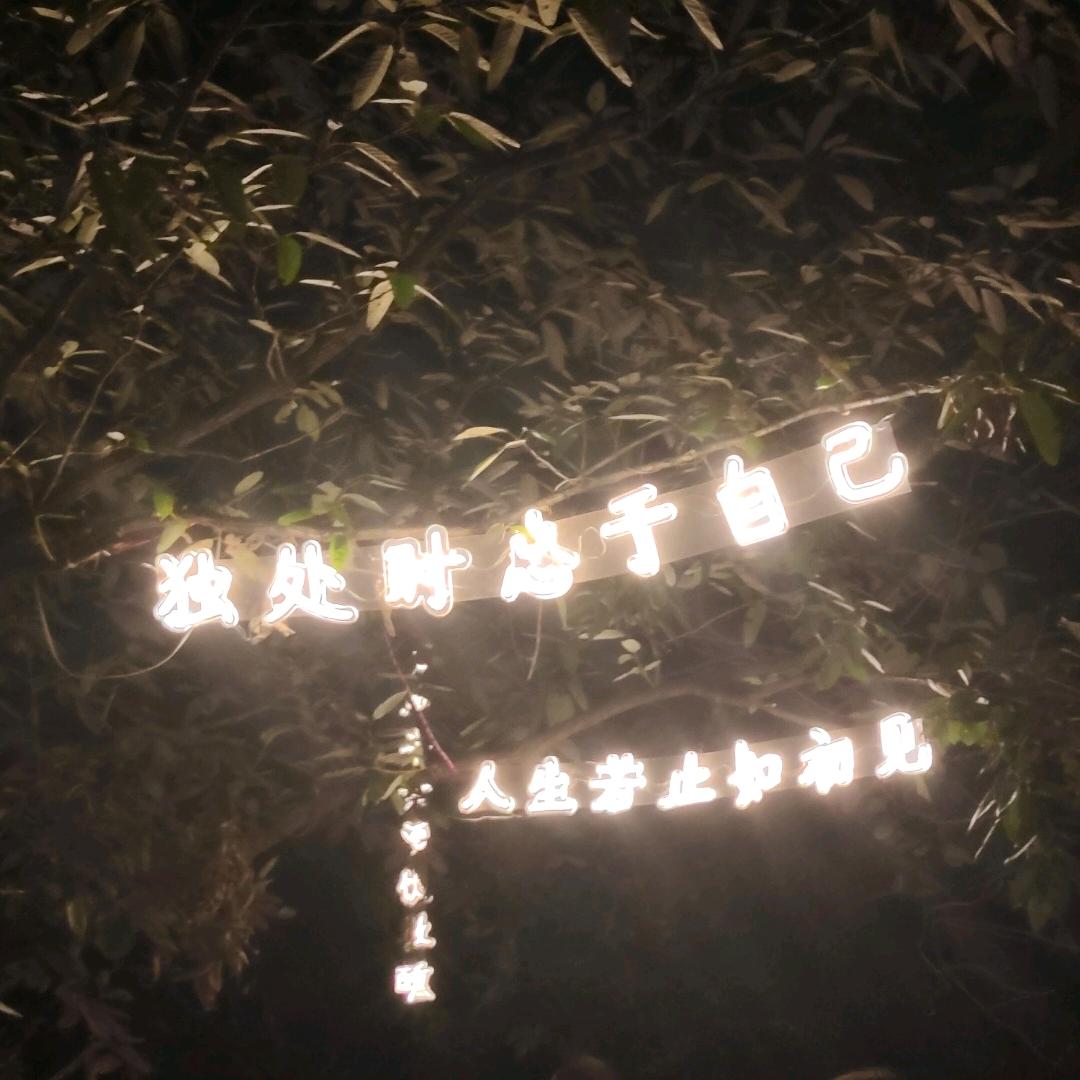 ࿚໌້ꦾᩚ错把꯭꯭💗⃟敷衍当承诺ཀྃ