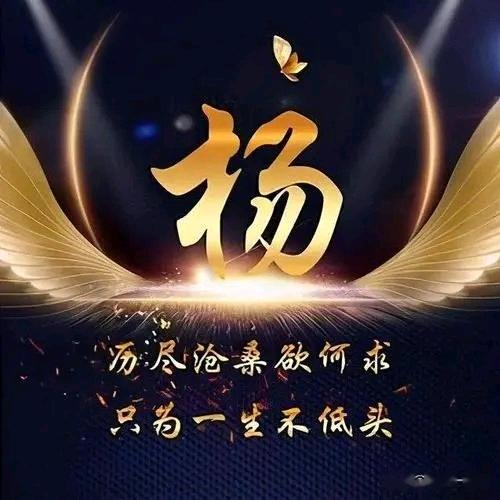 杨杨得意
