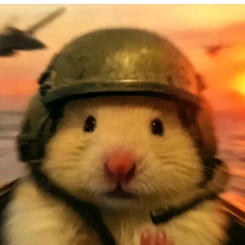 慕厉