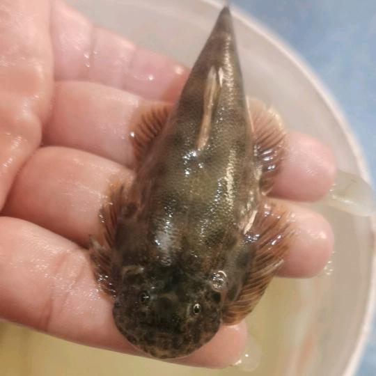 仁寿县宝飞镇钓友俱乐部
