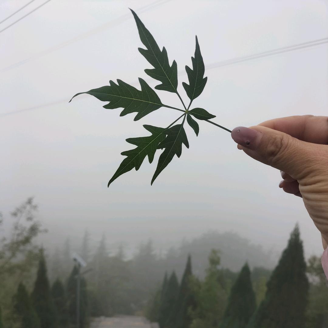 静*^_^静