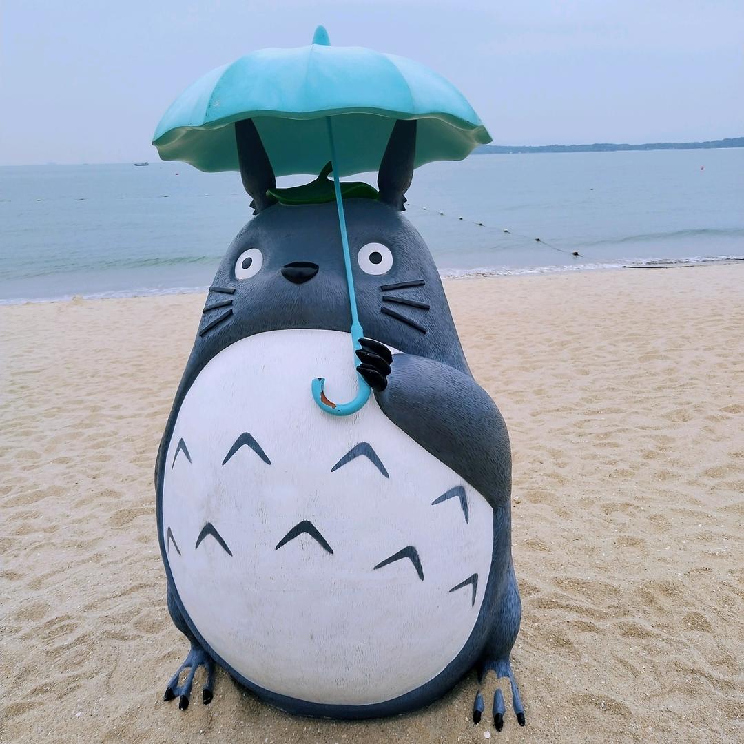 龙猫的伞