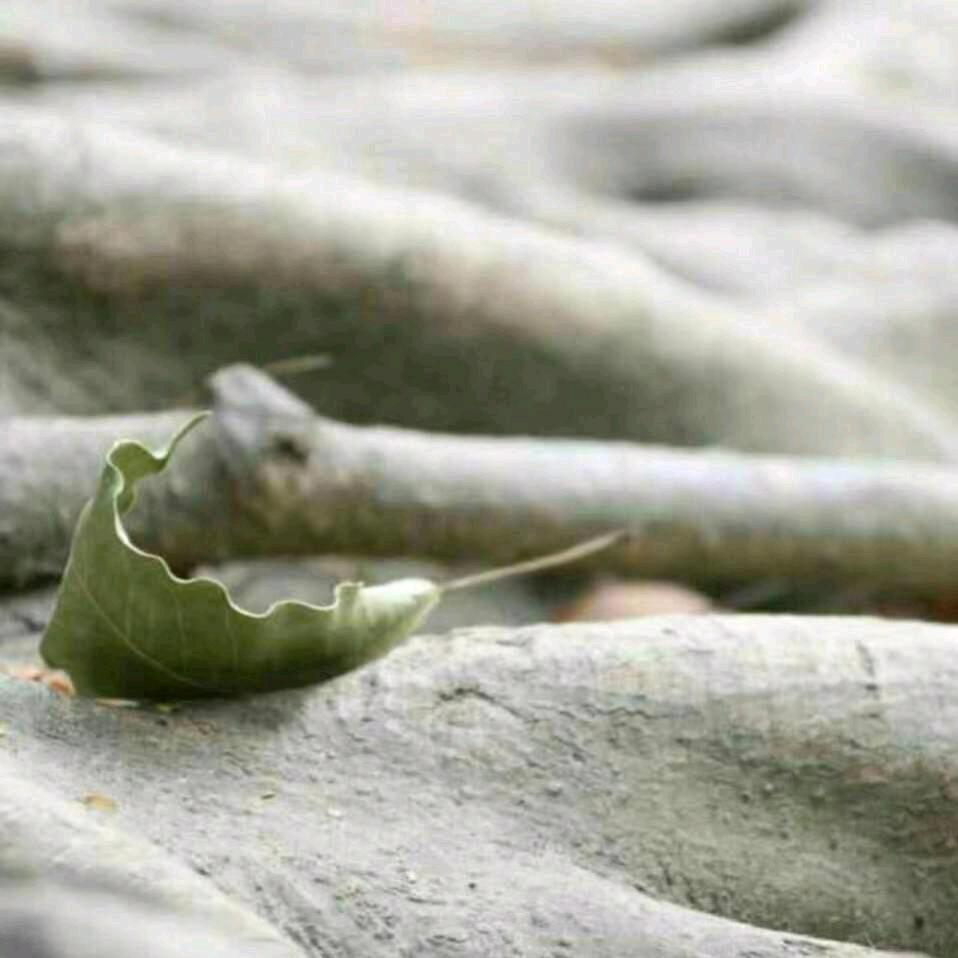 等待💔滋味