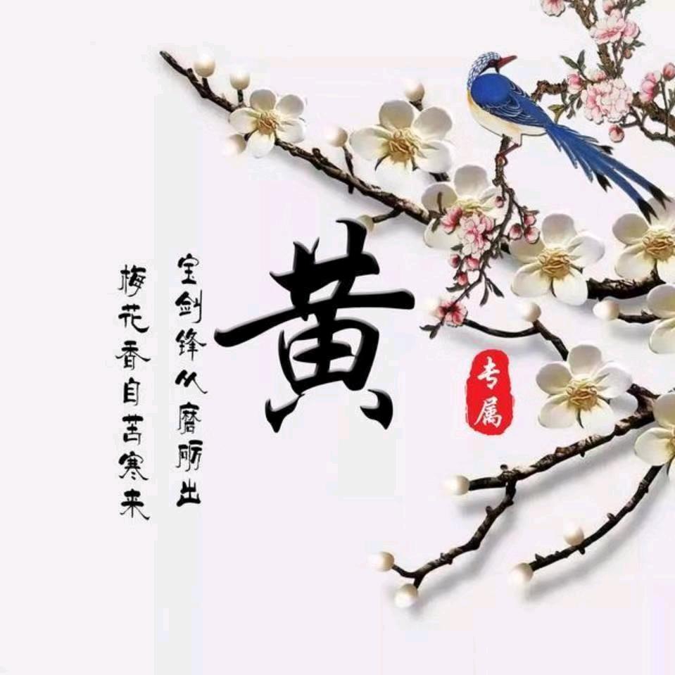 绿城浪子