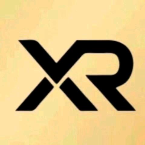 RD李行