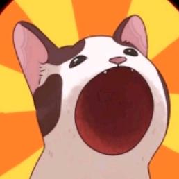 DPcat