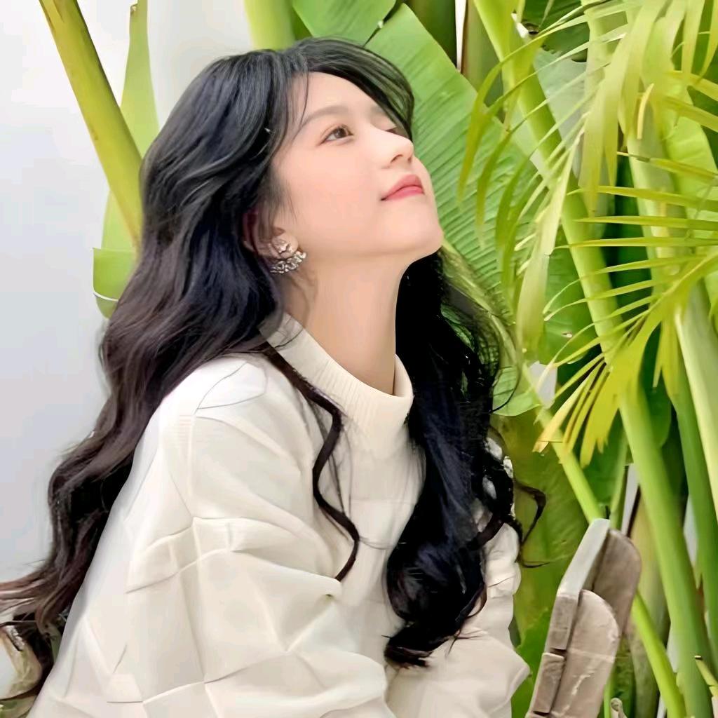 鑫旺旺