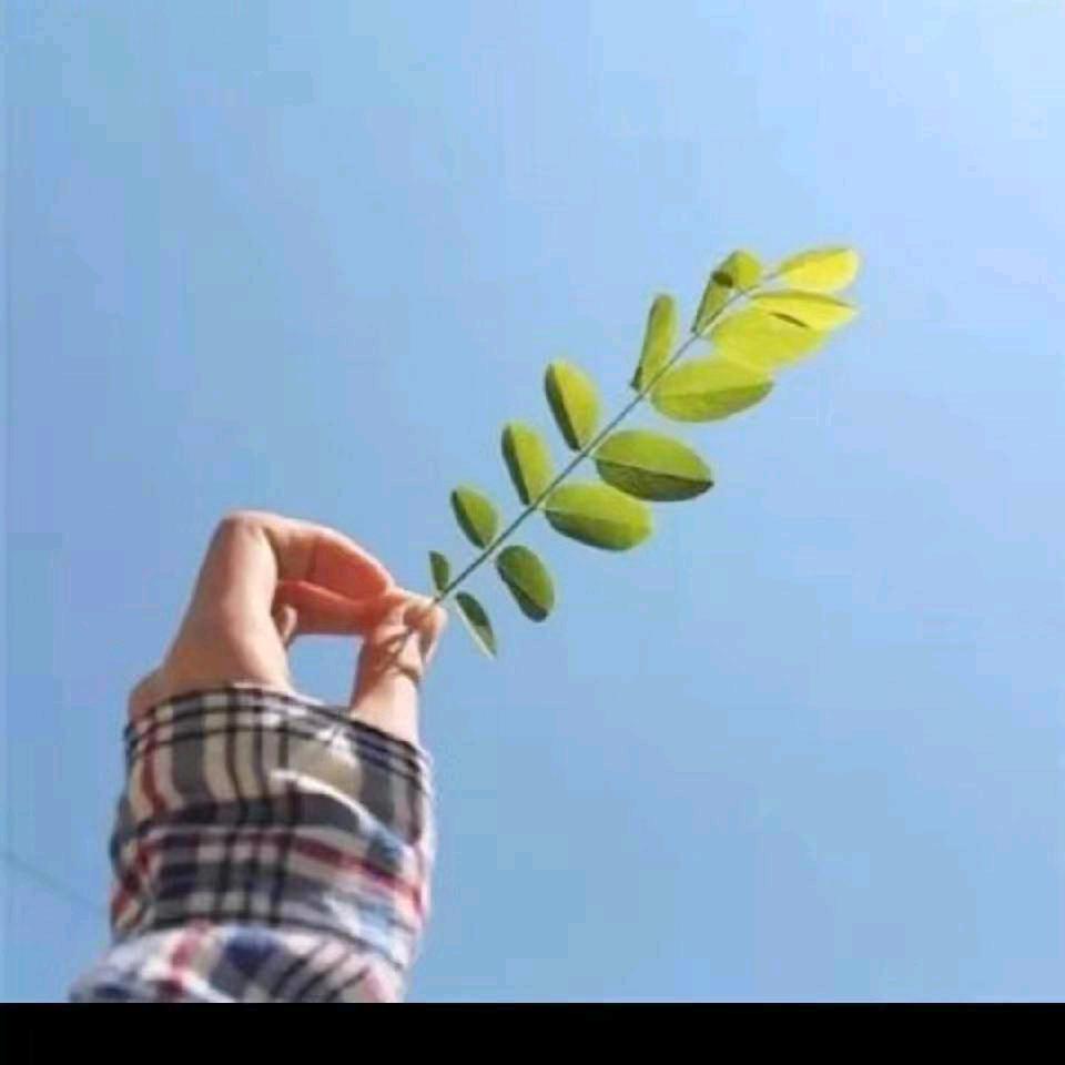 明月人静