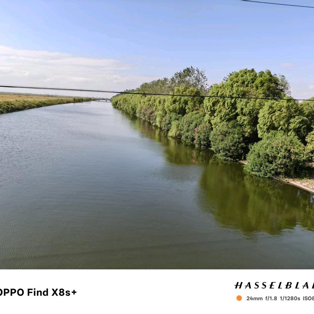 串天猴🐒🐒猴哥哥