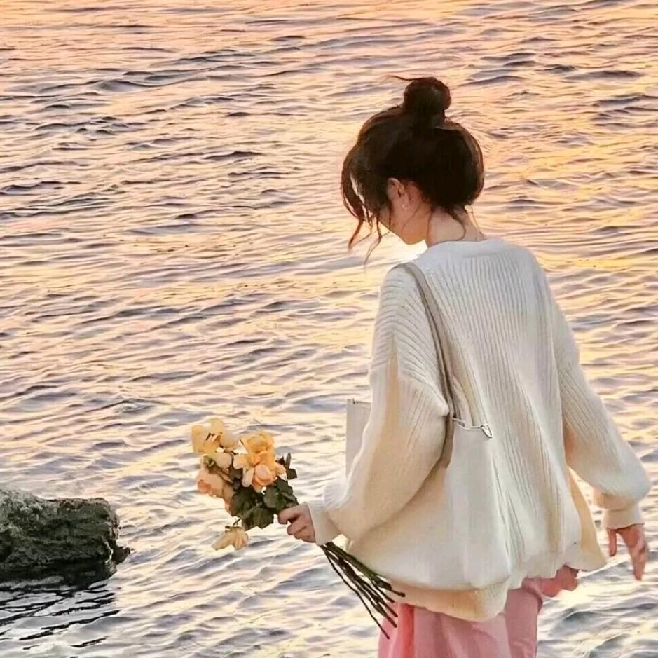 面包树在里尔看风景