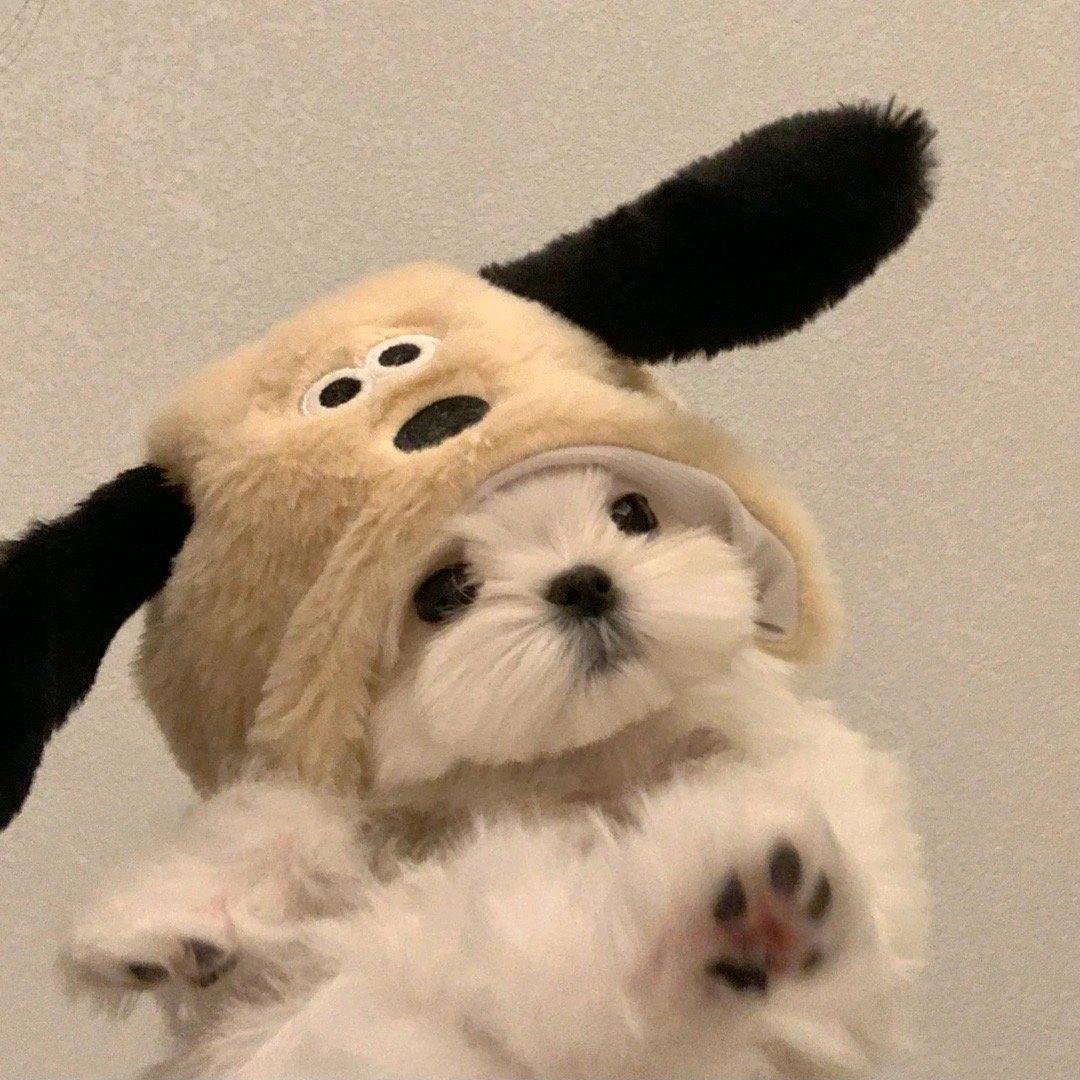 Ting是婷