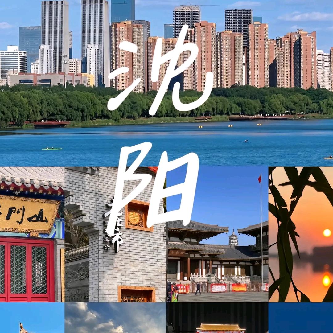 沈阳娱乐口罩哥