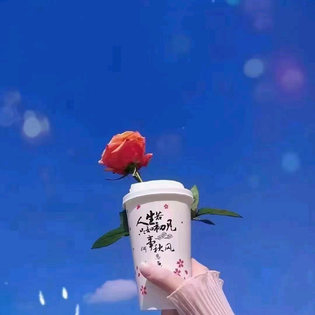 满目星陈