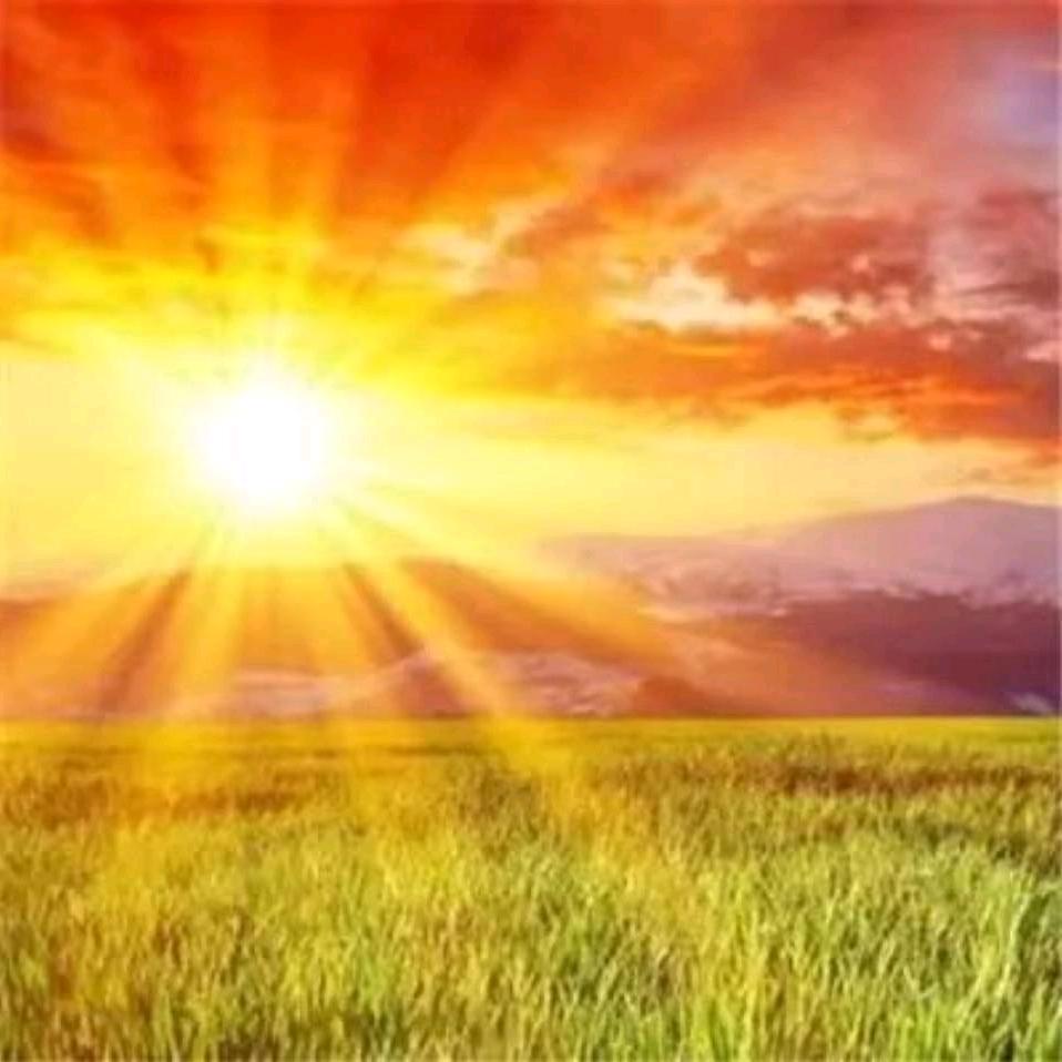 大道至简（红岩）