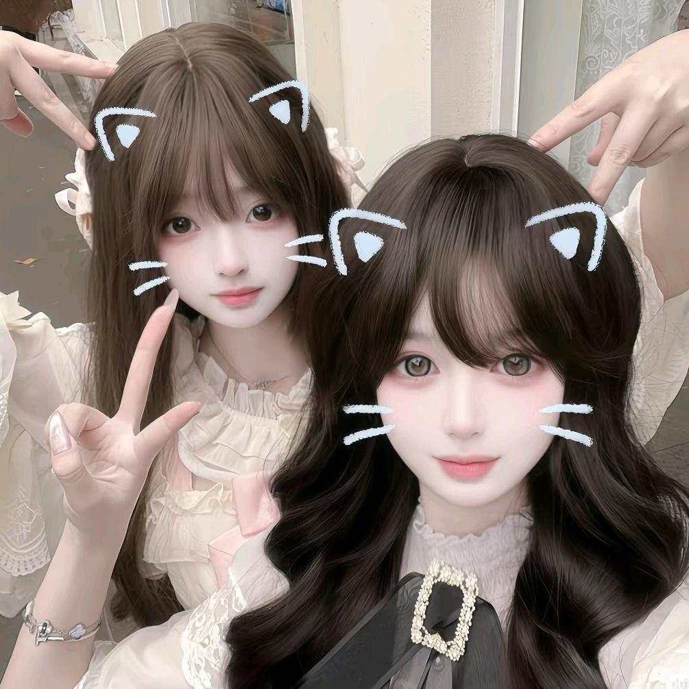 心碎小猫🍭