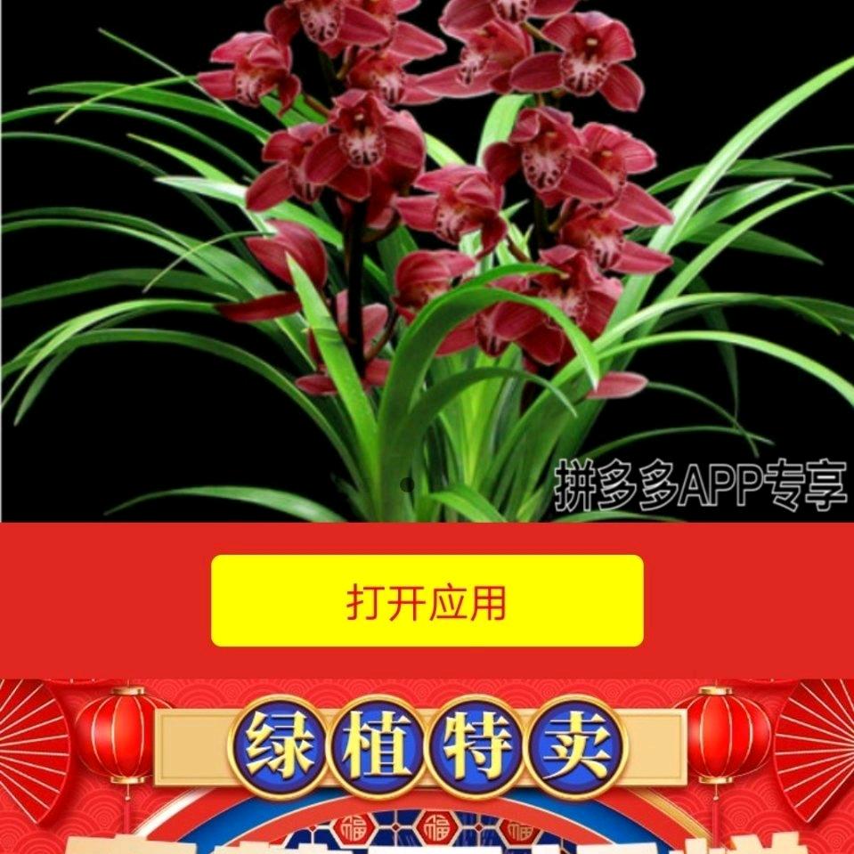 家和万事兴