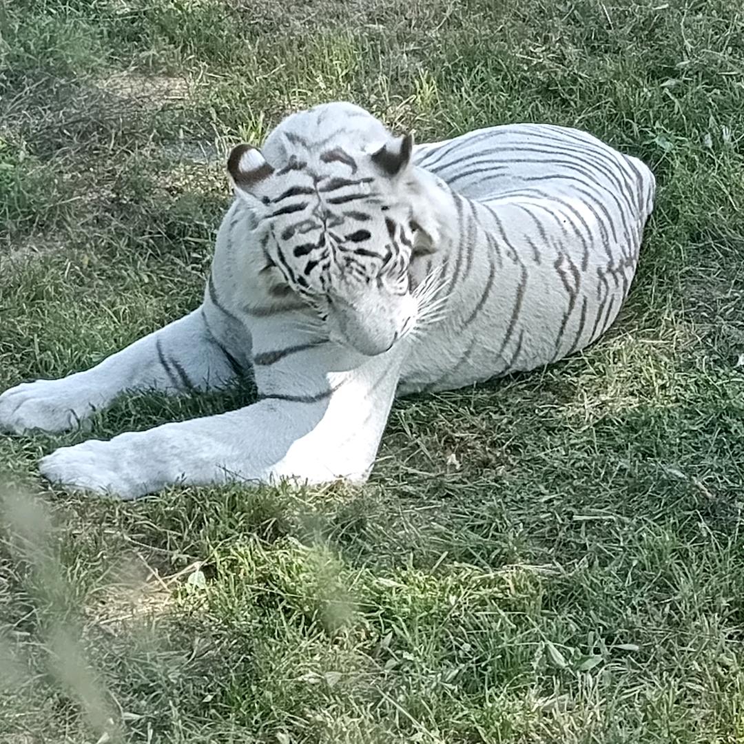 🥰守得🥰
