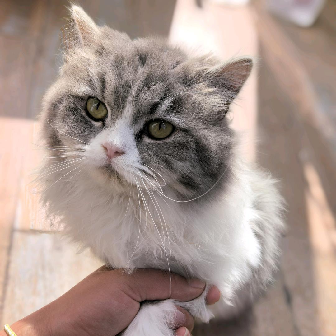 一位开朗的网友