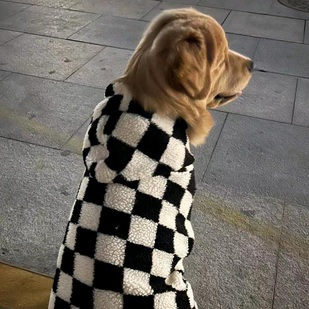 百百不爱吃饭饭😡