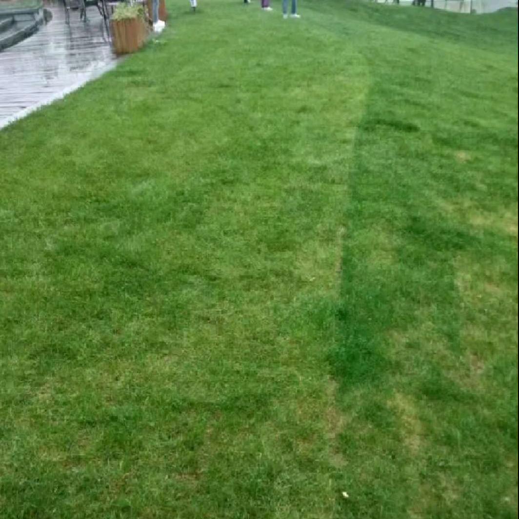 实一力6摩穷/端辜裙来辜福耒来敲亻门