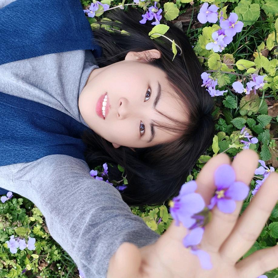 山有木兮木有枝