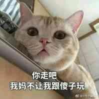 爱你😘😘头像