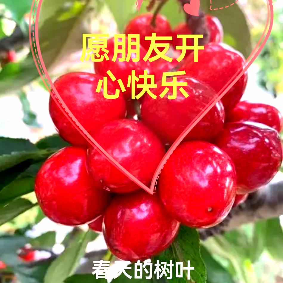 老李在山村