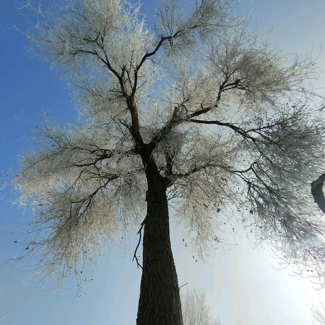 陈红货运站