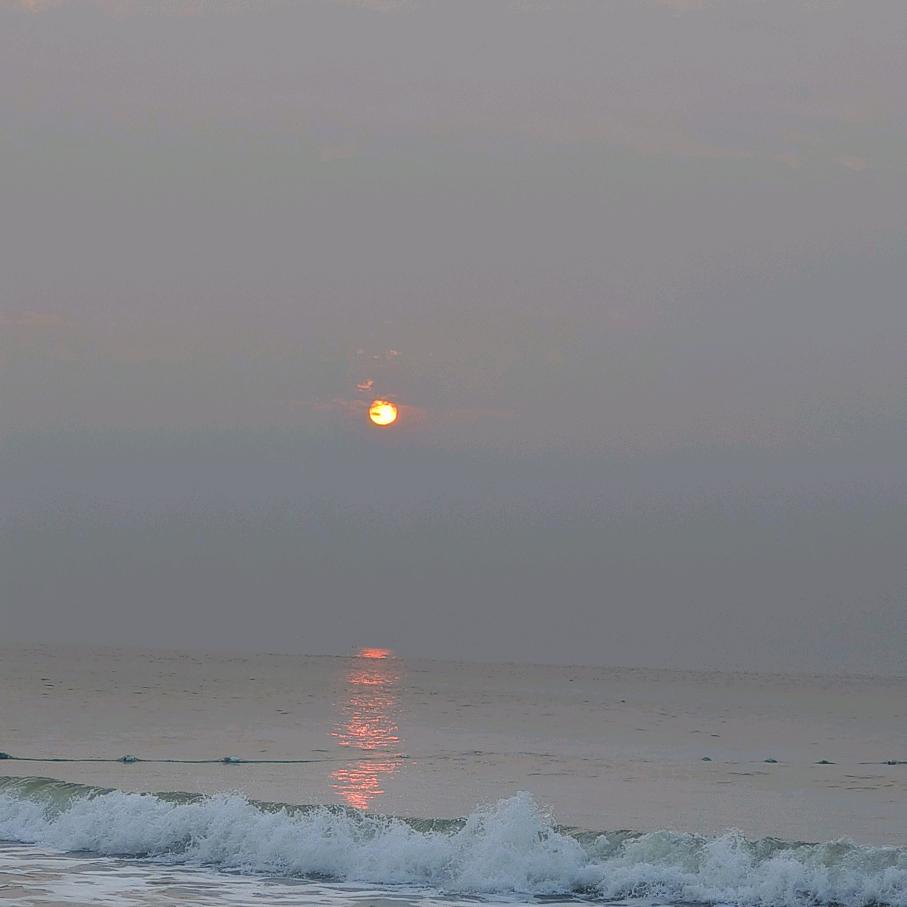 🍀萍安喜乐🌴