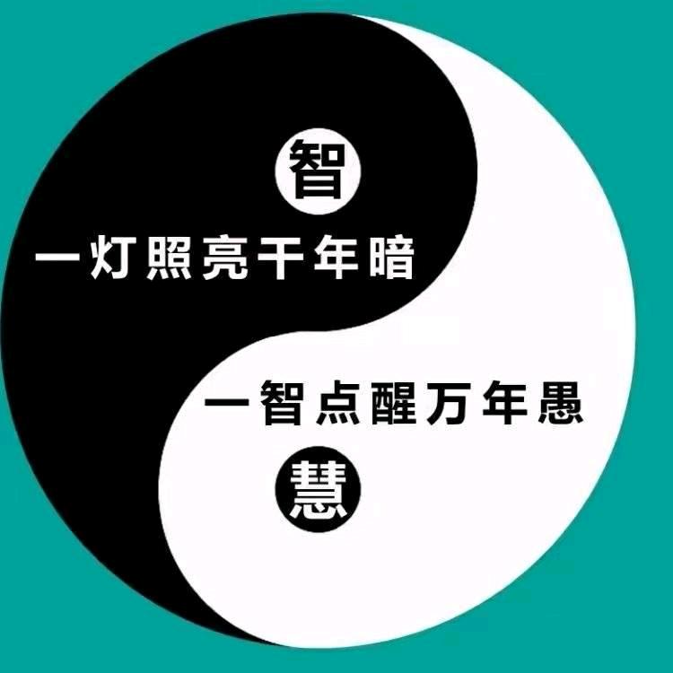 太级人生~314945