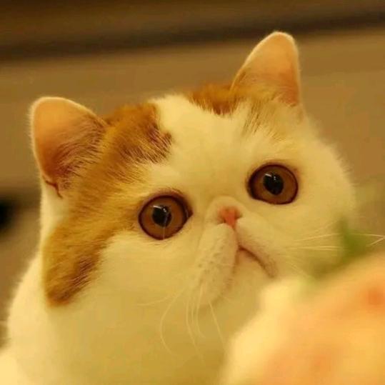 找找