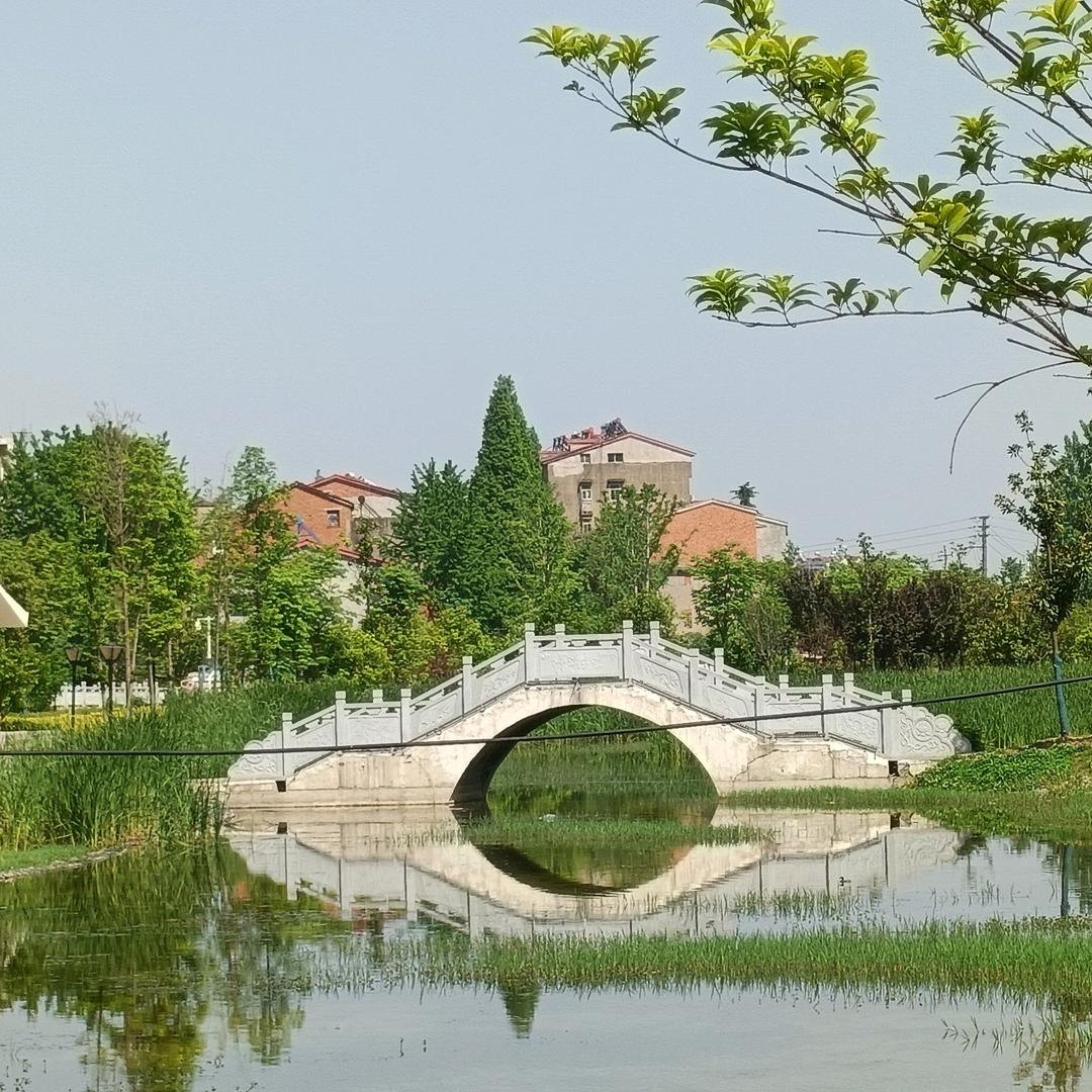 箐辞.