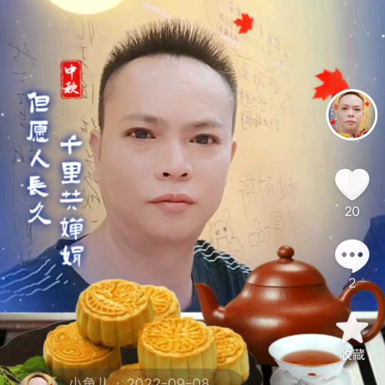 鱼儿也想飞