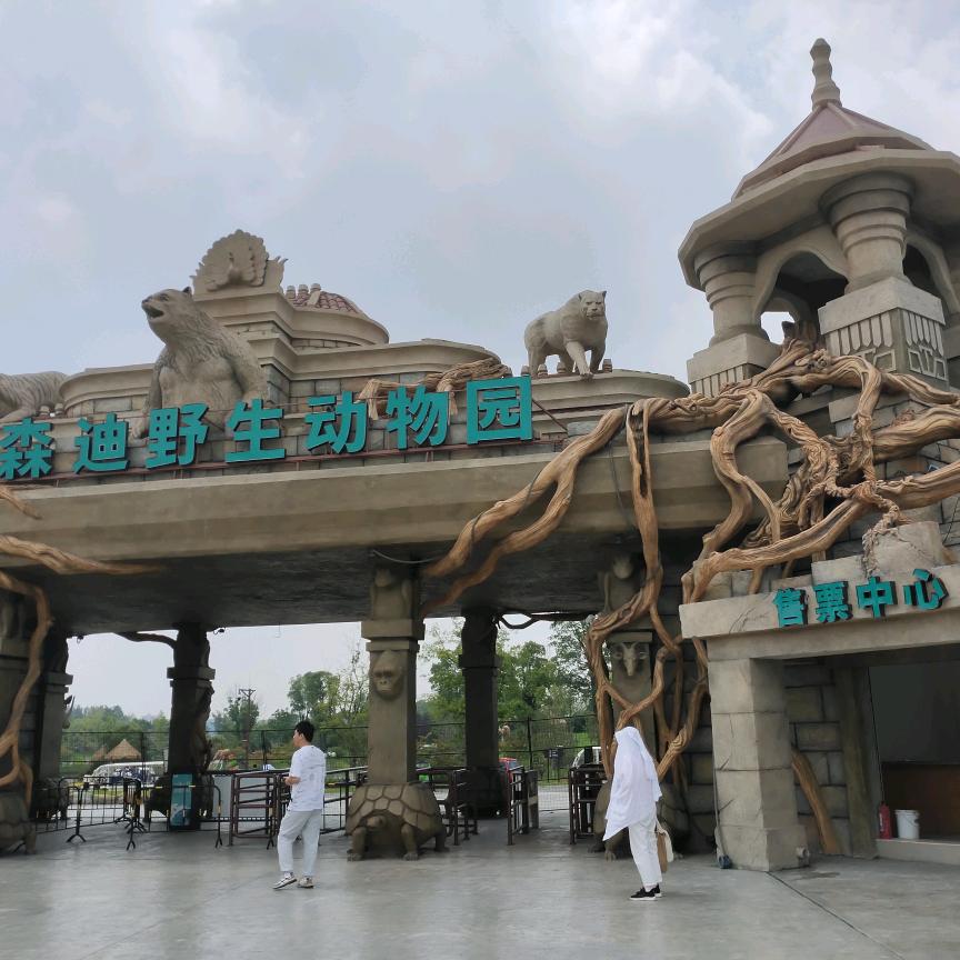 老师