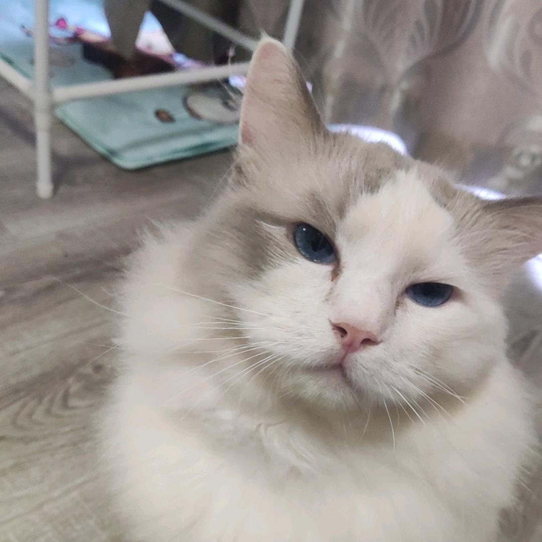 🌈贾情贾意贾斯丁