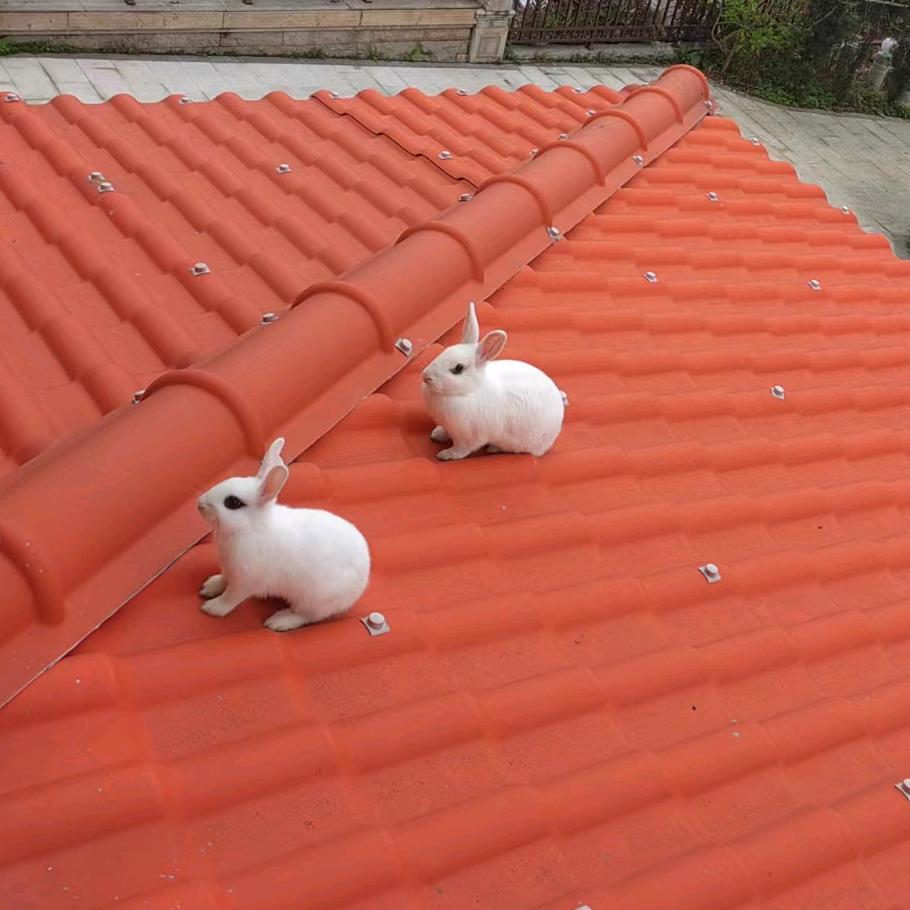 蓝妹叽（小甜甜）