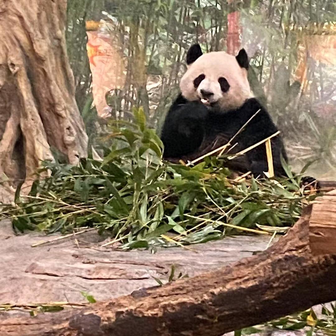 麦诚生活精品坊