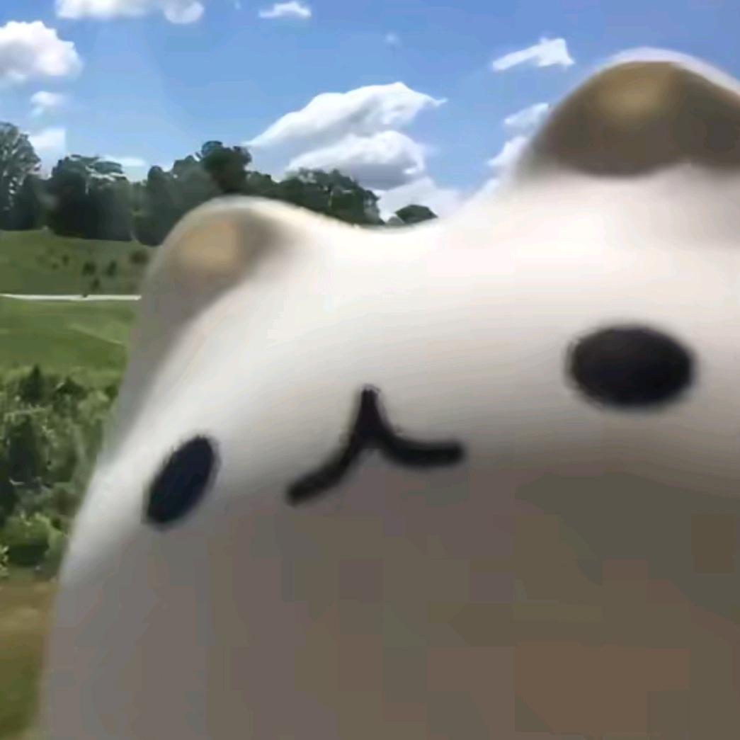 琛远