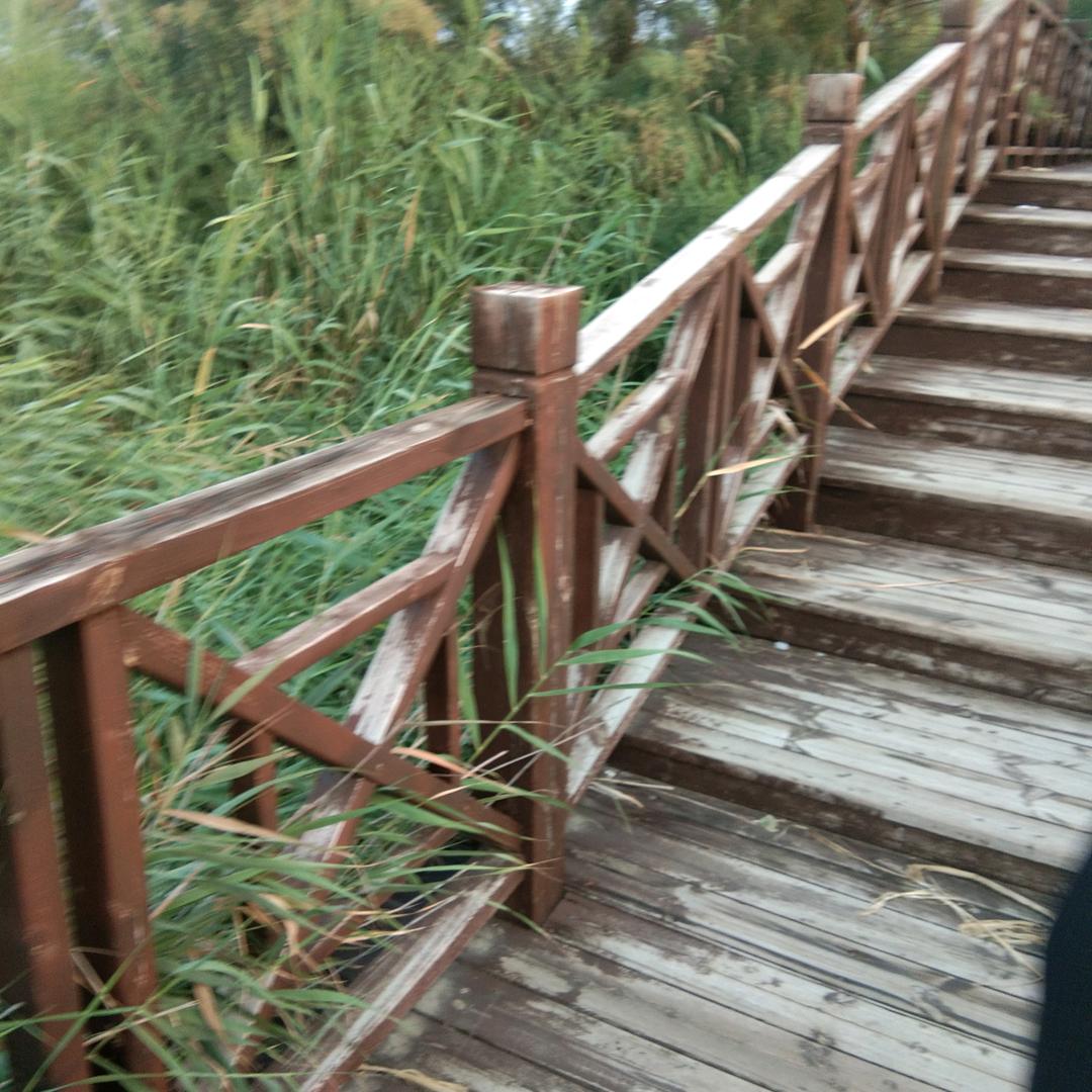 晴天97568
