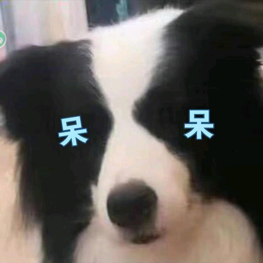 abcqi